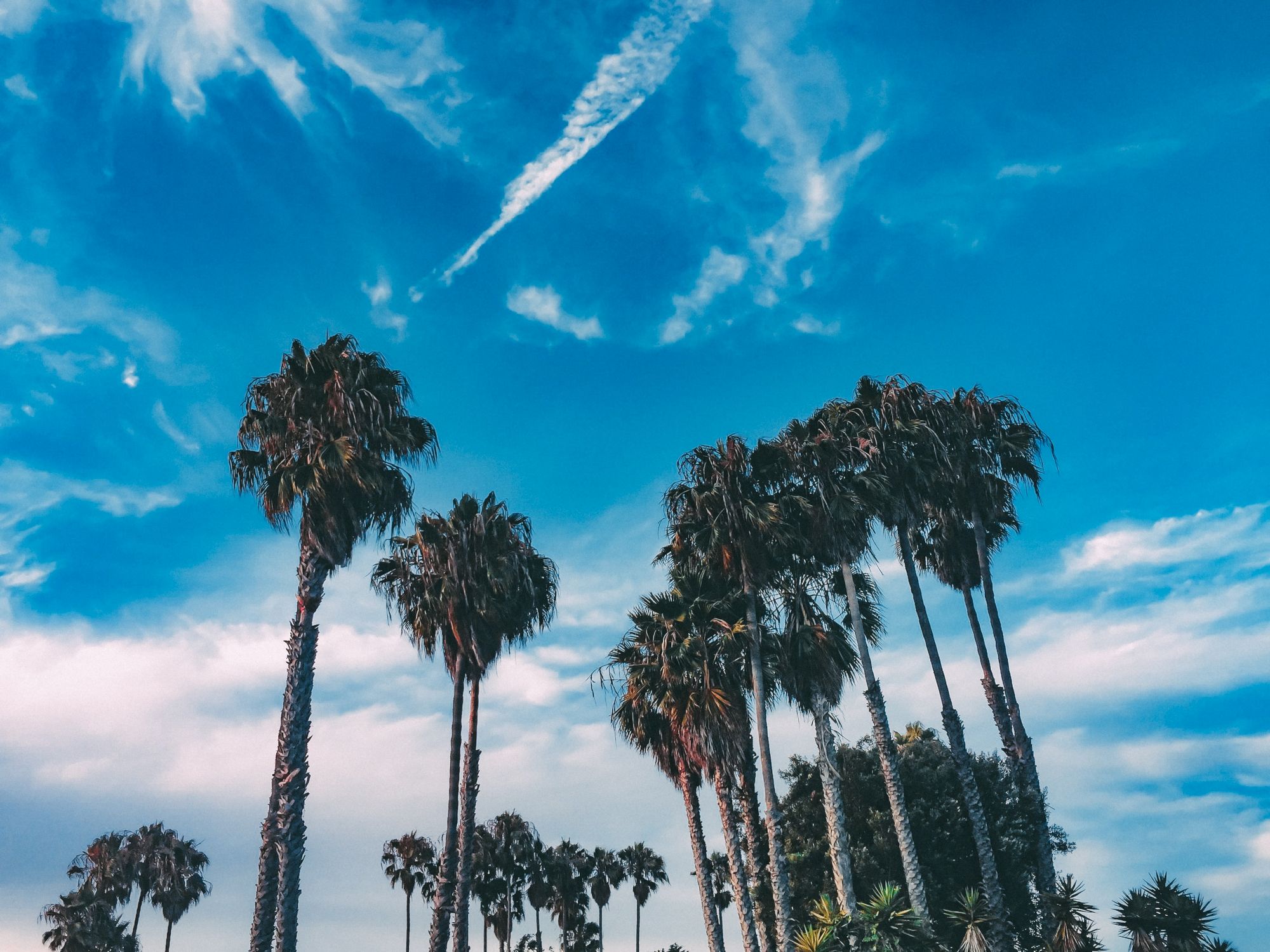 Hotel MdR Marina Del Rey - A Double Tree by Hilton