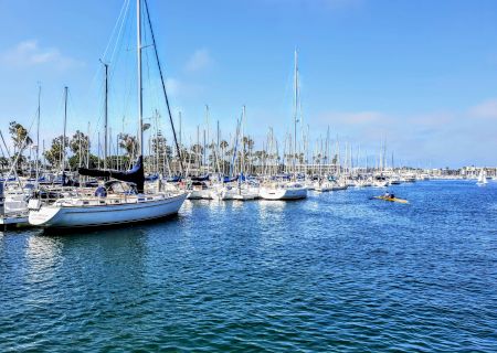 A calm marina filled with numerous sailboats docked along the piers, blue water sparkling under a sunny sky.